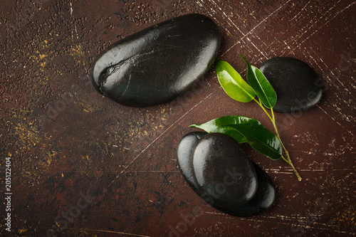 Zen pebble stones with green plant photo