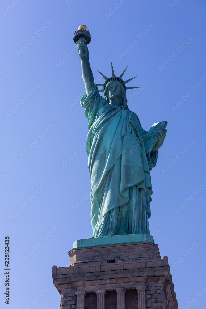 Fototapeta premium The Statue of Liberty in New York City