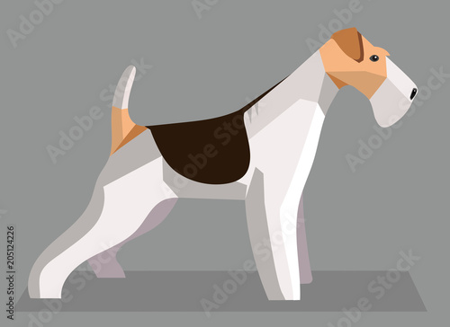 Fox Terrier