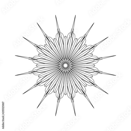 Blüte