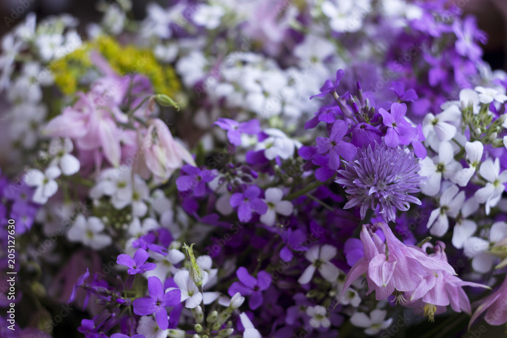 Many different kinds of flowers: purple and violet phlox, white chamomile, bells. Beautiful and delicate floral background Many different kinds of flowers: purple and violet phlox, white chamomile, bells. Beautiful and delicate floral background