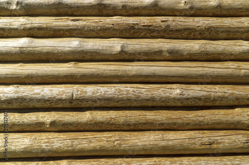 Wooden log pine wall background