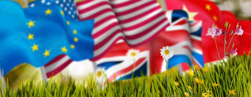 image of flags and flowers close-up