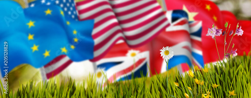 image of flags and flowers close-up