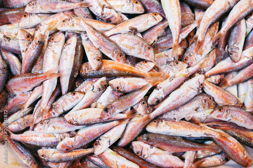 Fresh red snapper fish in basket in seafood market. Many kinds of fish. Fresh red snapper fish in basket in seafood market. Many kinds of fish.