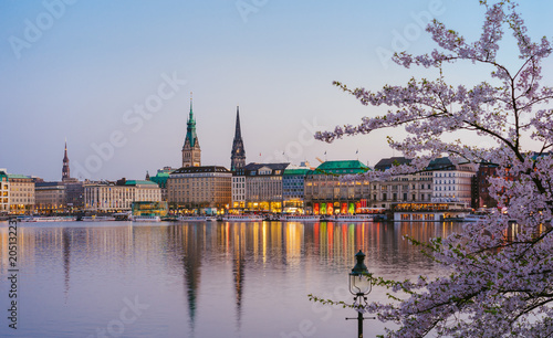 Beautiful panoramic view of Alster river and Hamburg town hall - Rathaus at spring earning evening during golden hour. Cherry blossom tree in foreground photo