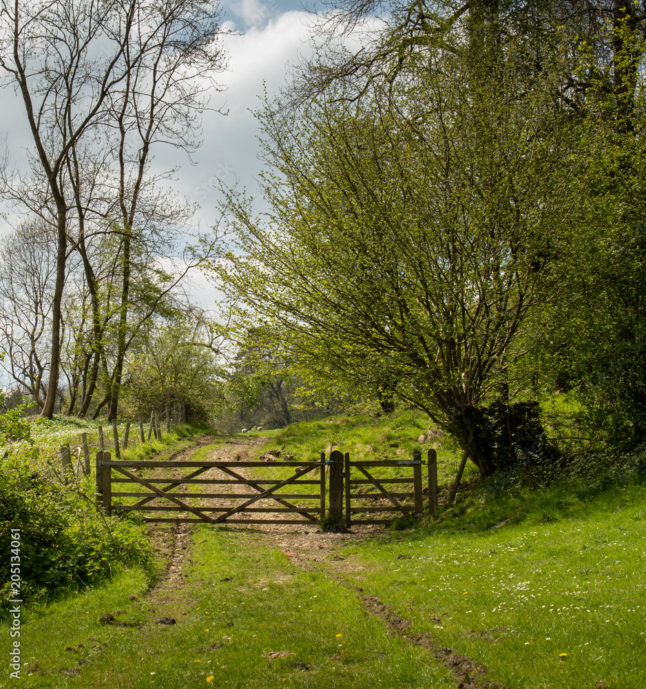 Farm gate and track in park