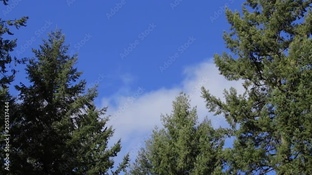 clouds moving across sky clouds moving across sky