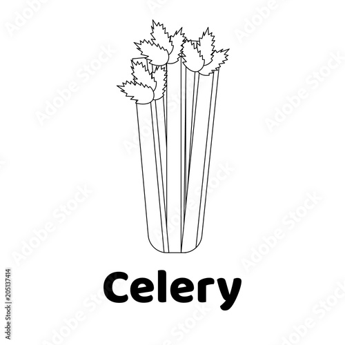 illustration. Game for children. Vegetable. Coloring page Celery 