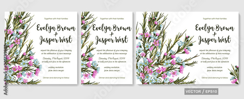 Wedding invite, invitation, rsvp, save the date card design with elegant  pink and blue wax flowers (chamaelaucium), branches leaves. Vector set