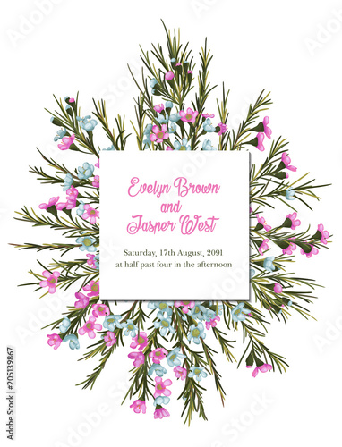 Vintage watercolor floral vector wedding invitation with a bouquet of pink and blue wax flowers in a square frame isolated on a white background