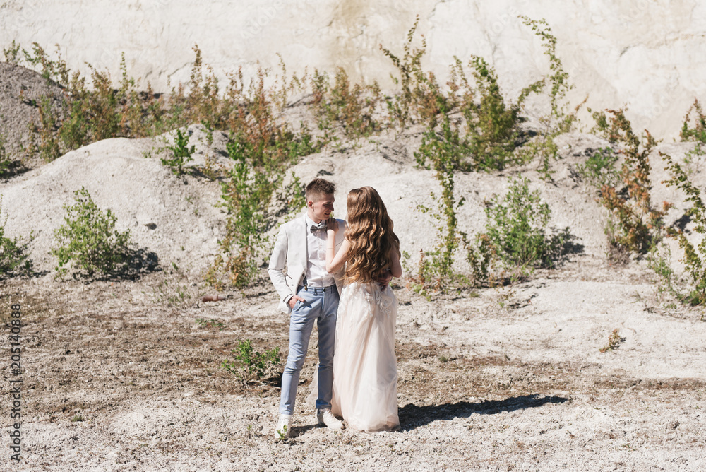 Wedding ceremony in the mountains. The bride and groom standing in front of the sandy mountains. The happy couple, a beautiful wedding in a picturesque location Wedding ceremony in the mountains. The bride and groom standing in front of the sandy mountains. The happy couple, a beautiful wedding in a picturesque location