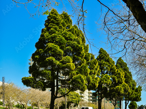 Photography City landscape, view on Geary Blvd