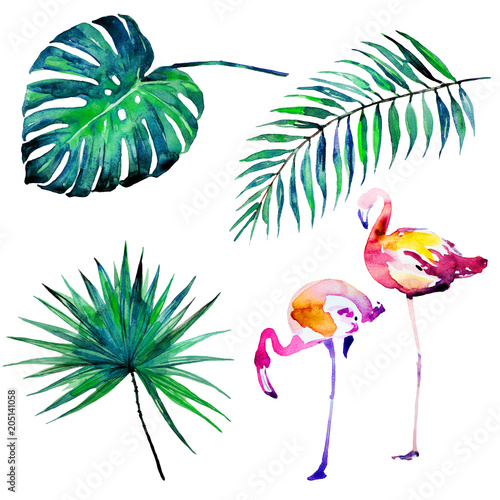 beautiful tropical palm leaves and flamingo  watercolor