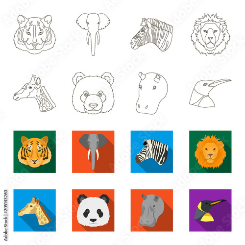 Panda, giraffe, hippopotamus, penguin, Realistic animals set collection icons in outline,flat style vector symbol stock illustration web.