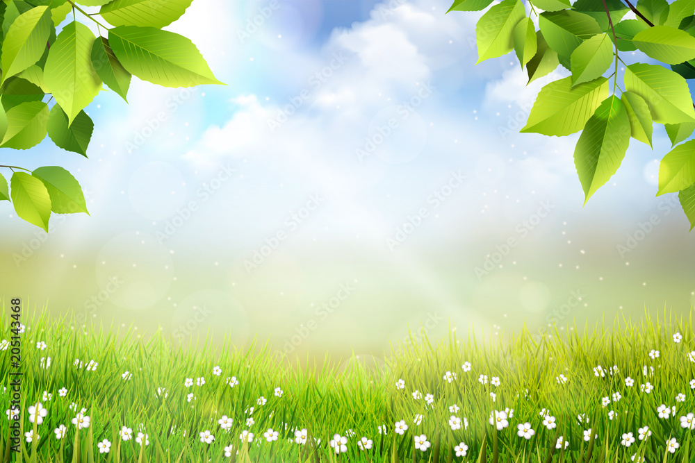 Obraz premium Wiosene tło, widok na trawę, kwiaty oraz na łąkę z pięknym rozmyciem bokeh