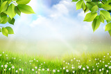 Wiosene tło, widok na trawę, kwiaty oraz na łąkę z pięknym rozmyciem bokeh