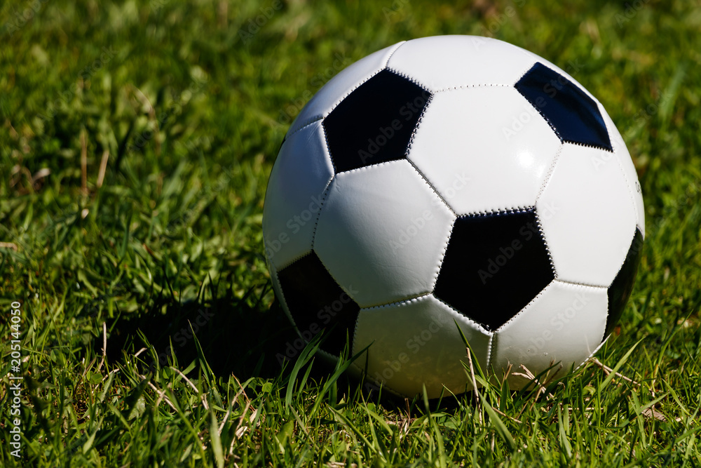 Classic soccer ball on a background of green grass. The bright sun is shining, on the grass the shadow of a soccer ball Classic soccer ball on a background of green grass. The bright sun is shining, on the grass the shadow of a soccer ball