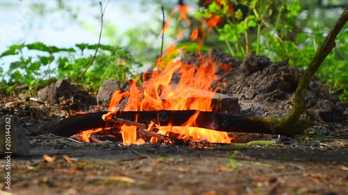 Wallpaper Mural Fire in a forest near the river. Camping or BBQ bonfire outdoor. Slow motion 4K UHD video 3840X2160 Torontodigital.ca