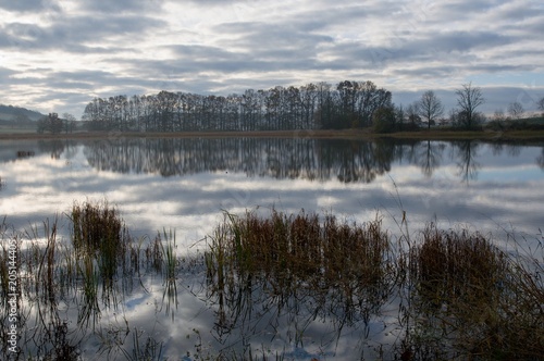 Clouds and trees mirroring the pond Ulehle in southern Bohemia  Czech Republic  Europe