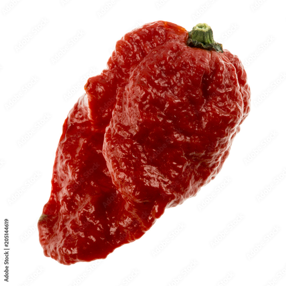 Obraz premium Chili Pepper Carolina Reaper