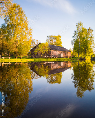 Tree Reflection in the Lake on a Sunny Spring Day - Autumn Colours