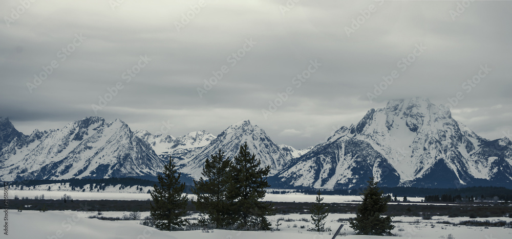 panoramic view of Grand Teton National Park, Wyoming, USA