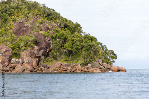 Trees on cliff of an island