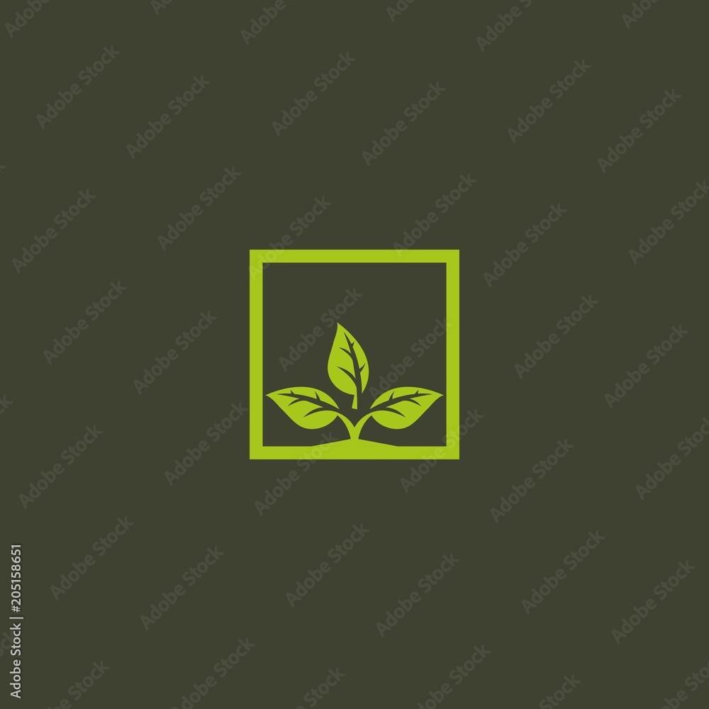 Green leaf logo icon. Shape square leaf nature logo design vector illustration, Simple Modern square with Leaf logo design inspiration Green leaf logo icon. Shape square leaf nature logo design vector illustration, Simple Modern square with Leaf logo design inspiration