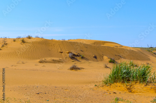 Panorama of the semi-desert with withered grass
