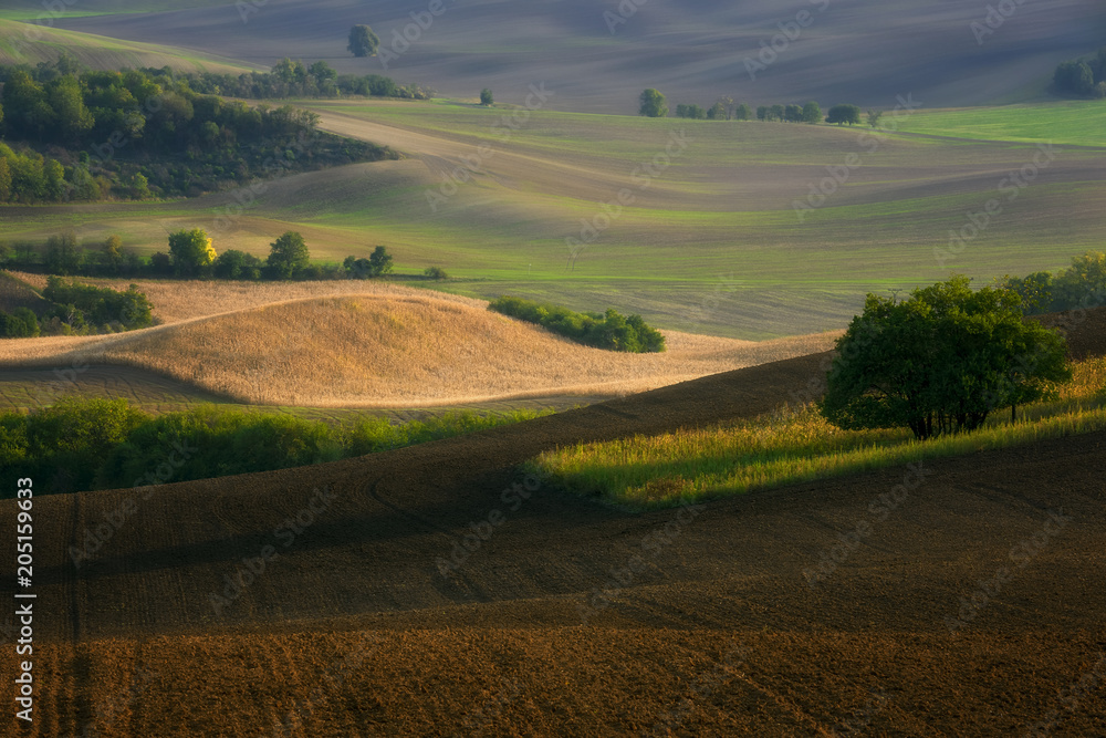 Obraz premium Moravian fields, Moravia, Czech Republic, around the village Kyjov 