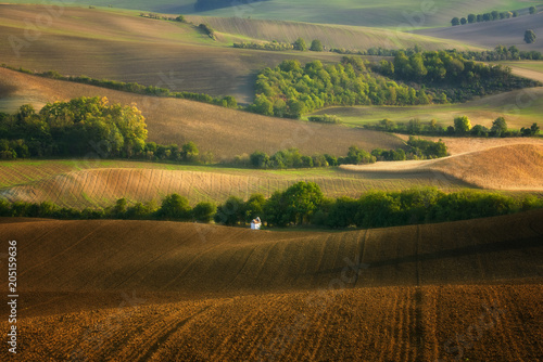 Moravian fields, Moravia, Czech Republic, around the village Kyjov  © janmiko