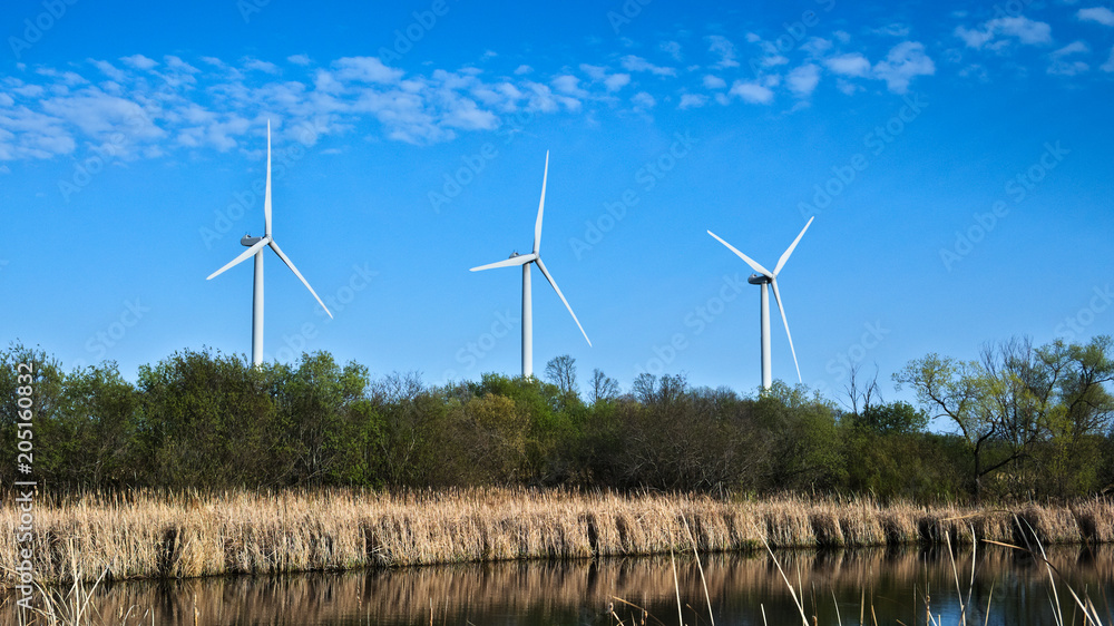 Fototapeta premium Windmills for electric power production near pond and trees at dusk