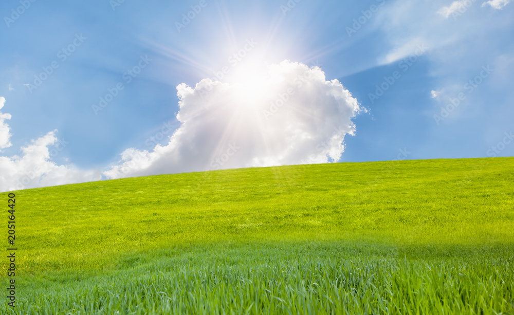 Green grass field and bright blue sky Green grass field and bright blue sky