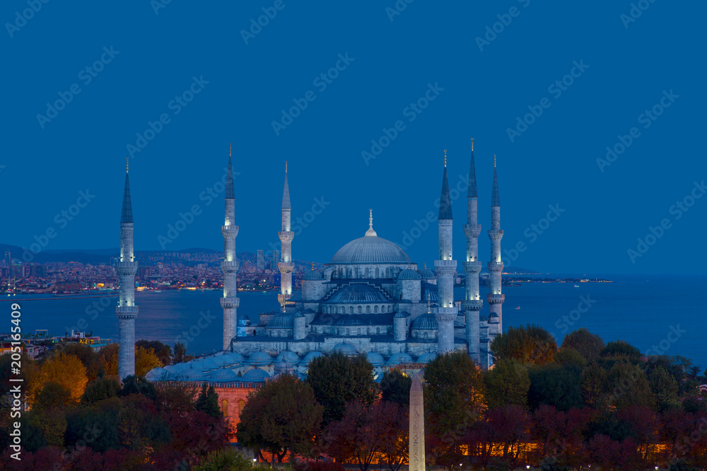 Obraz premium The Blue Mosque, (Sultanahmet), Istanbul, Turkey.