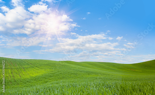 Green grass field and bright blue sky
