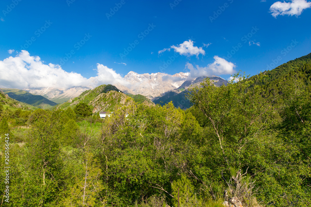 Fototapeta premium Piękna przyroda w Himalajach wiosną