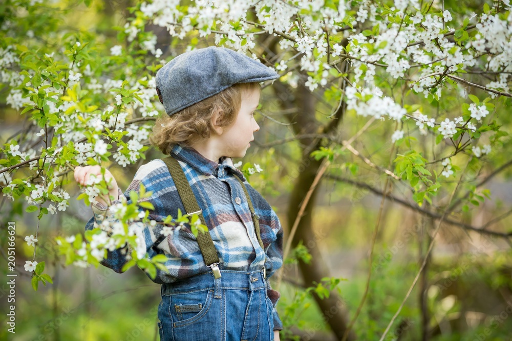 Young blonde boy posing in blooming orchard in springtime.