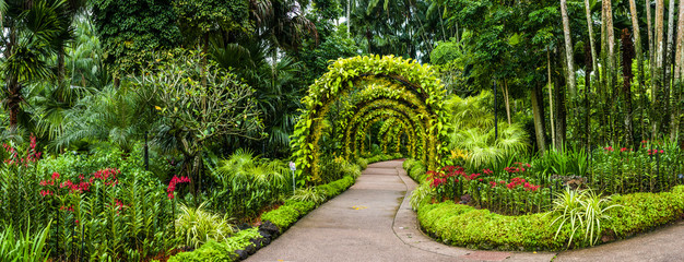 Keuken achterwand Tuin Panorama orchideeënboog Singapore tuin  © Janelle