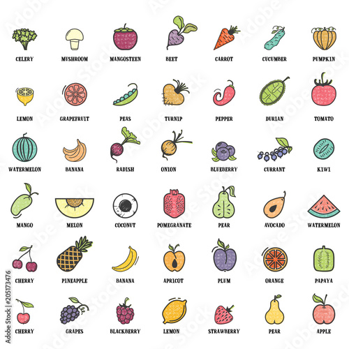 Fruits and vegetables, vegetarian set, summer isolated color vector icons.