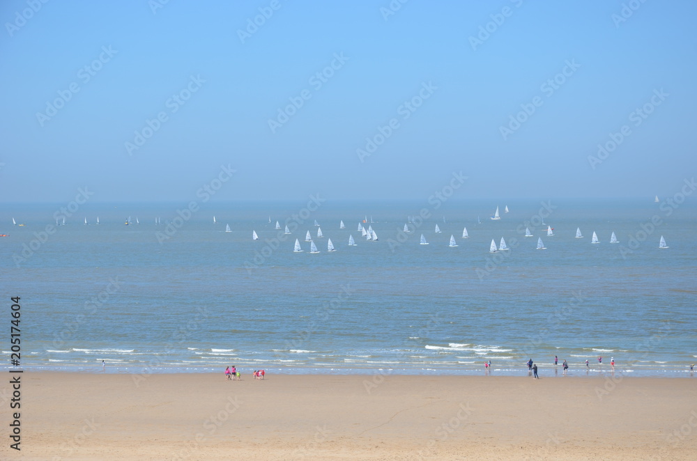 Fototapeta premium régate de laser sur les côtes d'Ostende belgique