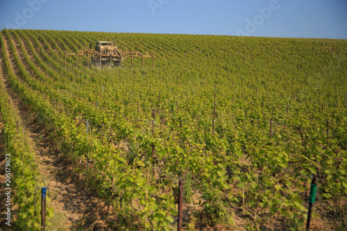 Photography Un tracteur en cours de traitement phytosanitaire dans le vignoble champenois,ca