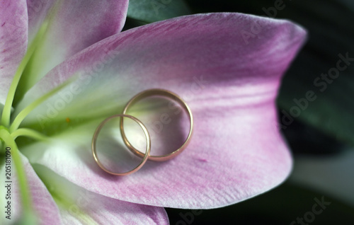 Pink petals with gold wedding rings, top view, close-up. Wedding concept