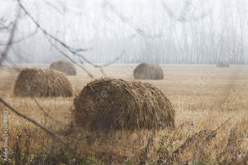 a haystack in a field in autumn. Autumn, fog, rain in the village