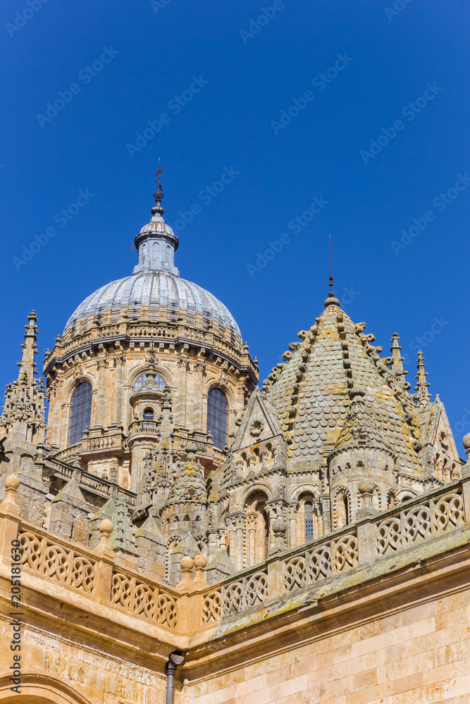 Dome of the cathedral of Salamanca, Spain
