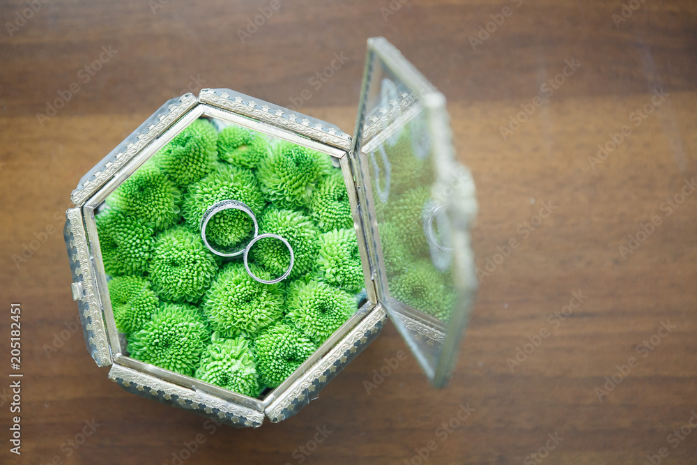 wedding rings in green leaves. wedding rings in green leaves.