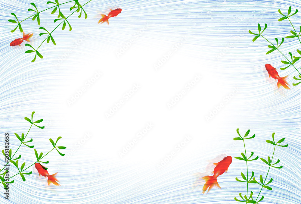 Fototapeta premium 金魚 水草 暑中見舞い 背景