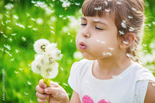 girl blowing dandelions in the air. selective focus.