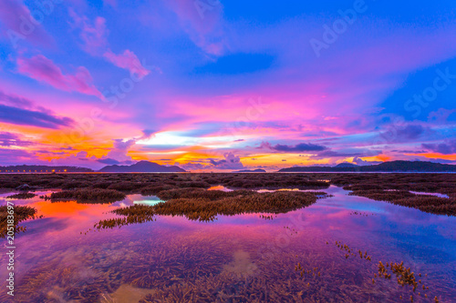 scenery sunrise above the coral reef during low tide in Phuket island. during low tide we can see a lot of coral reef and marine fishes around Rawai beach