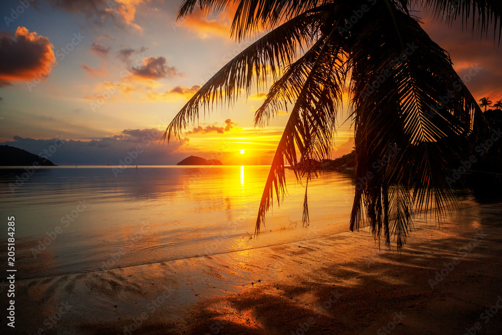 Beautiful bright colorful stunning sunset on a tropical beach on a paradise island